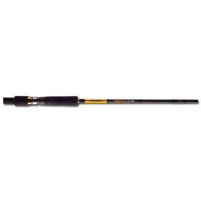 Pezon & Michel Concept Street Fishing Spinning, S-MH 240, 2,4m - 7-28g - 2tlg - 133g