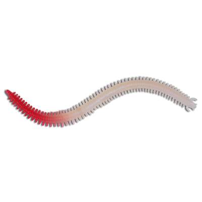 Roy Fishers Bass Centipede 150 AHT, - 15cm - albino hot tail - 6Stück