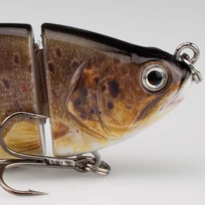 Roy Fishers Real Fish Shad Swimbait 10 BF, - 10cm - Bachforelle - 25g - 1Stück