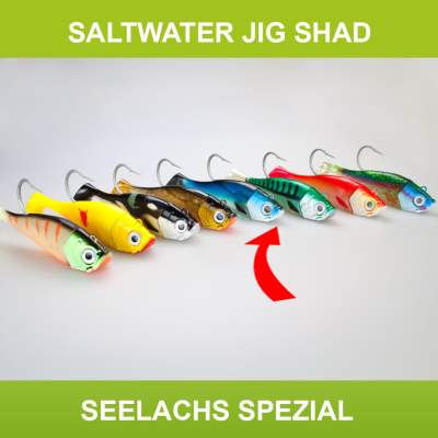 Team Deep Sea Saltwater Jig Shad, 20,0cm, 265g, 1 Kopf + 1 Shad, Seelachs Spezial, 20cm - Seelachs Spezial - 265 - 1+1Stück