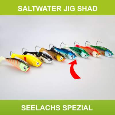 Team Deep Sea Saltwater Jig Shad, 16,0cm, 180g, 1 Kopf + 1 Shad, Seelachs Spezial 16cm - Seelachs Spezial - 180 - 1+1Stück