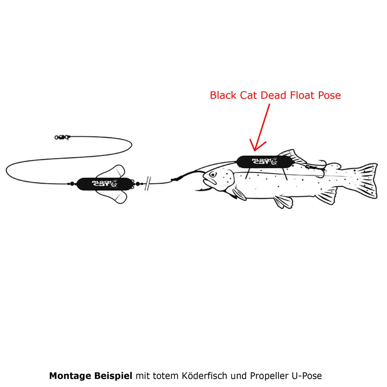 Black Cat Dead Float Köderfisch Pose Unterwasserpose 20-40g Wallerpose Wels