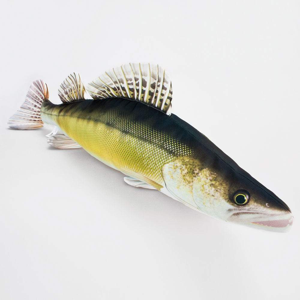 Kuscheltier Fisch Plüschtier Stofftier Modell Forelle Hecht Karpfen