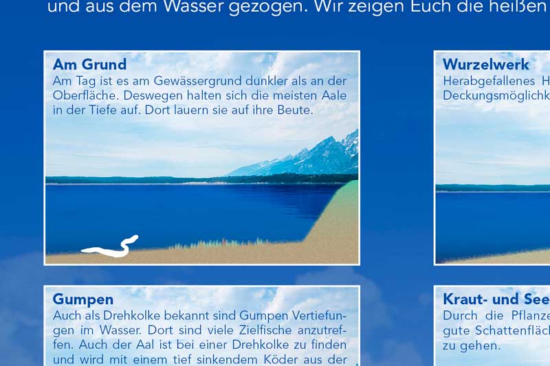 Aal Hotspots - In den Tiefen auf Jagd