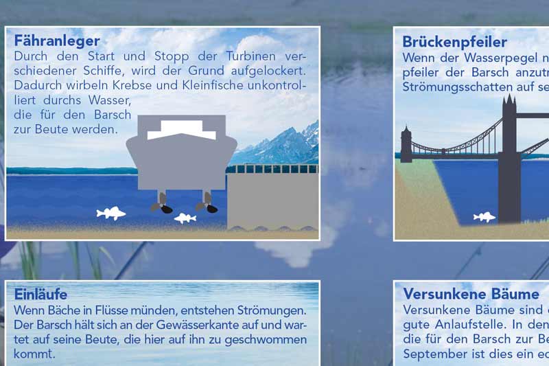 Barsch Hotspots