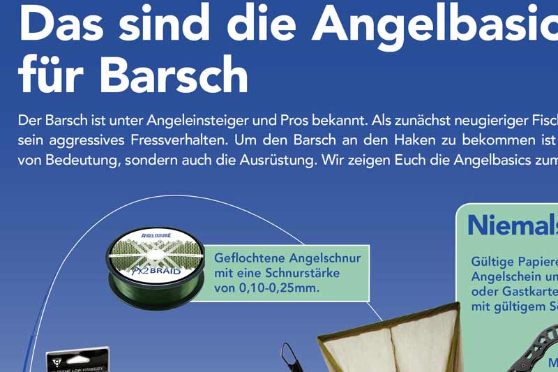 Das sind die Angelbasics für Barsch