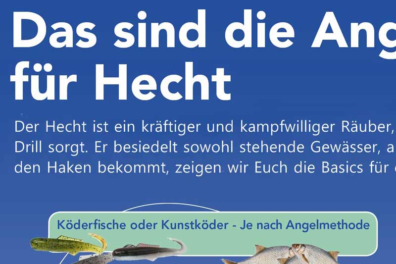 Das sind die Angelbasics für Hecht