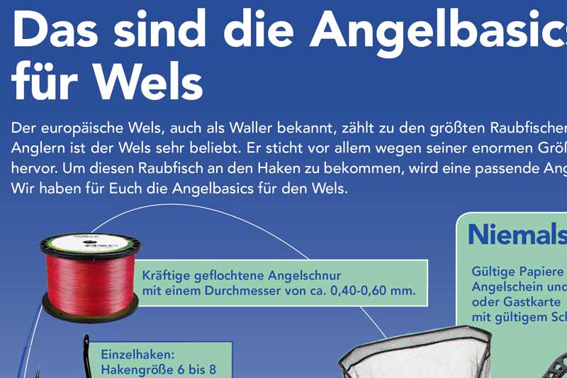 Das sind die Angelbasics für Wels