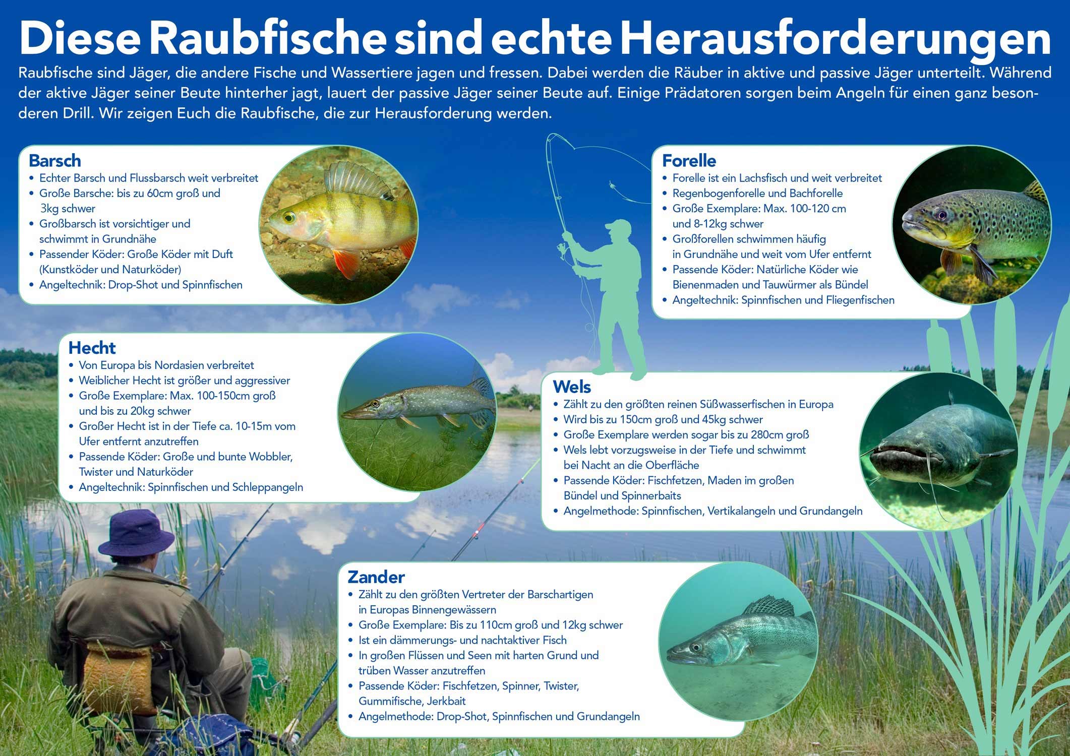 Diese Raubfische sind echte Herausforderungen