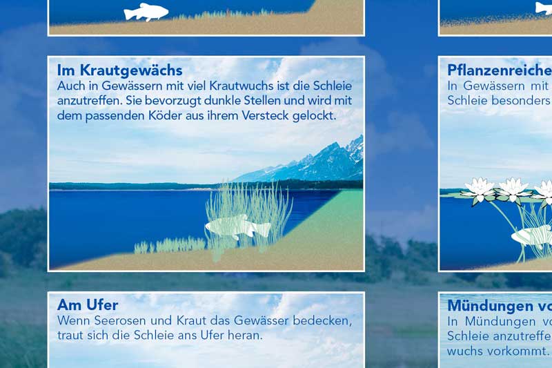 Schleie Hotspots