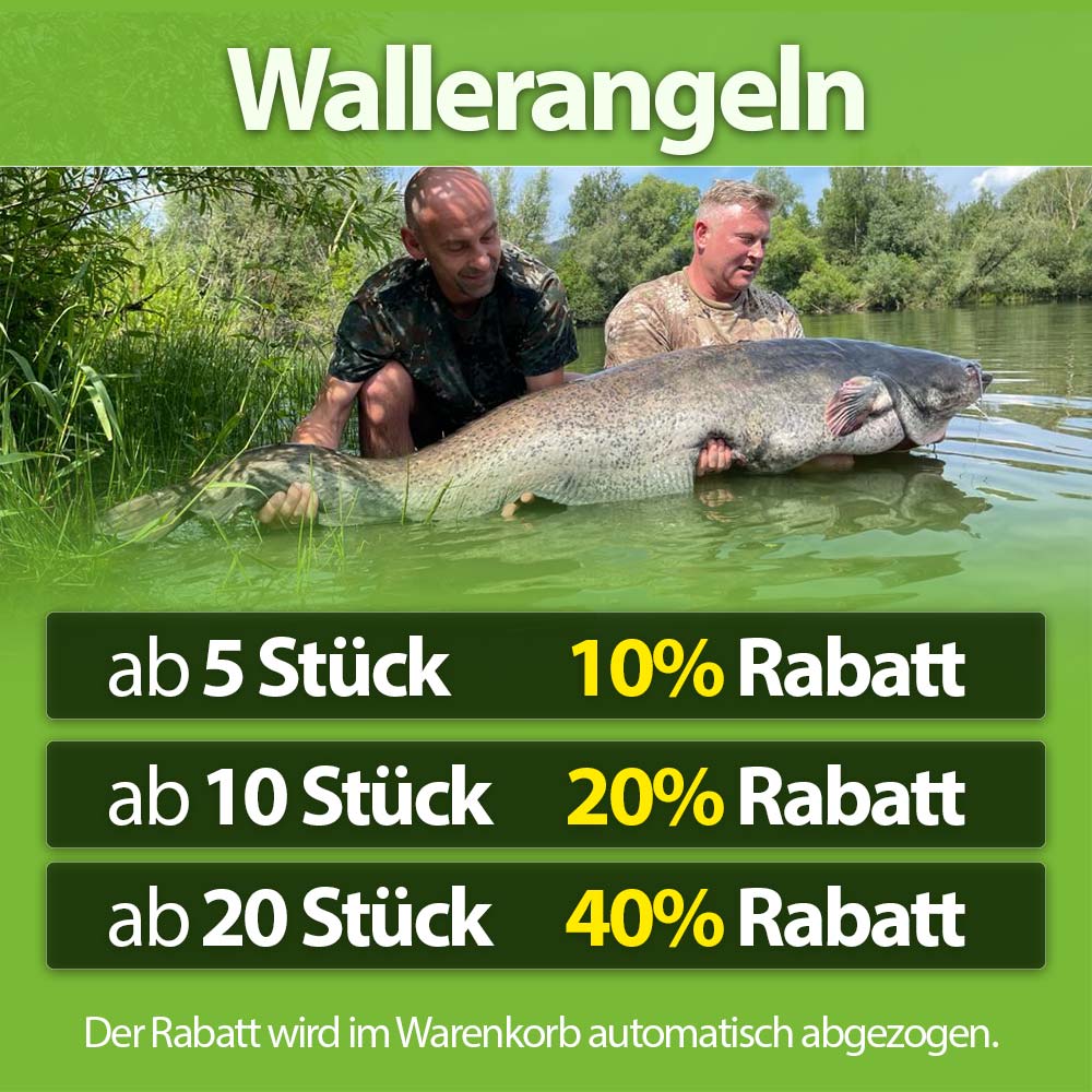 Wallerangeln