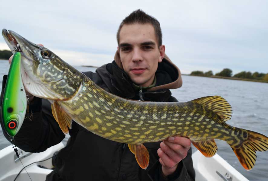 Pike