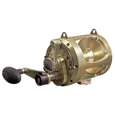 WFT Blue Water 30 W 2-speed - Multirolle 640m/ 0,60mm - 1,3:1 - 1600g