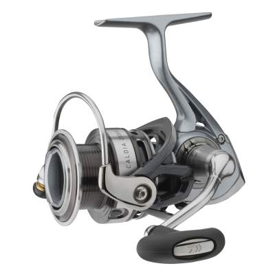 Daiwa Caldia 2500A, 190m/ 0,25mm - 4,8:1 - 230g