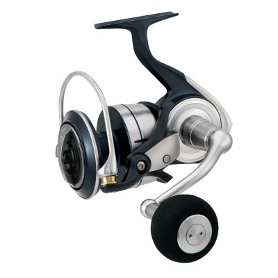 Daiwa 21 Certate SW (G), 8000-P - 300m/ 0,33mm - 4,8:1 - 625g