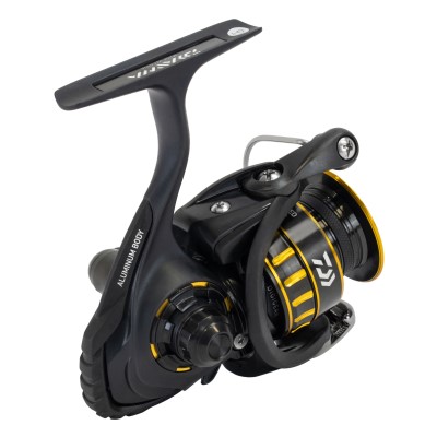 Daiwa BG 2000 - 125m/ 0,25mm - 5,6:1 - 240g