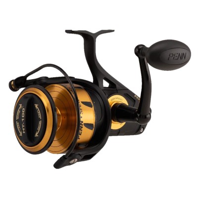 Catix Long Range + Penn Spinfisher VI 10500 3,10m - 300-600g - 530g - 10500
