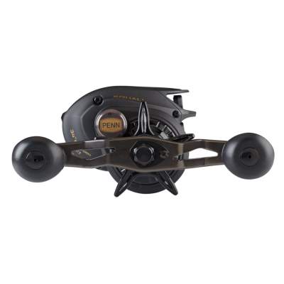 Penn Squall Low Profile 300 LP Baitcast Rolle 220m/ 0,32mm - 7,3:1 - 265g