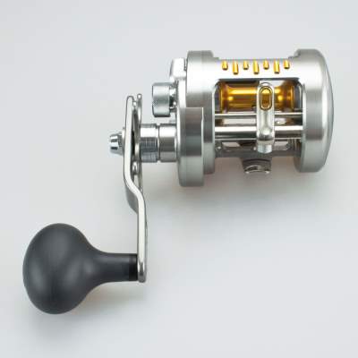 Shimano Calcutta TE Lucanus Jig Version 120m/ 0,30mm - 5,0:1 - 377g