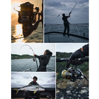 Shimano Stella SW D - Salzwasserrolle 4000XG - 180m/0,30mm - 6,2:1 - 360g