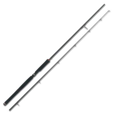 Godspeed Power Cast 300 3m - 50-120g - 2tlg - 269g