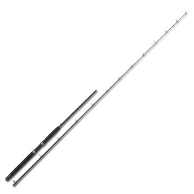 Godspeed Trolling 30 2,7m - 20-30lbs - 2tlg - 295g