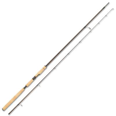Westin Dynamic Spin 10' MH 3,00m 10- 40g Seatrout Special, 3m - 10-40g - 2tlg - 212g