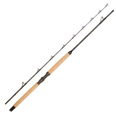 Waterspeed Boat 20 2,3m - 100-300g - 12-20lbs - 2tlg - 276g