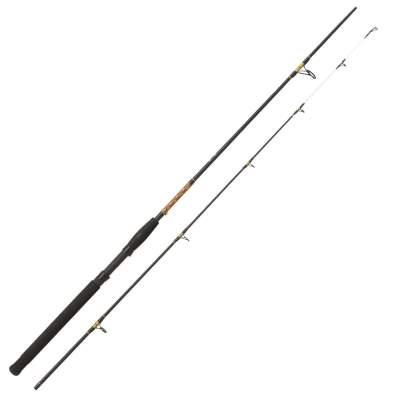 Angelfish Epoxy Spin 300 3m - 15-60g - 2tlg - 320g