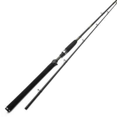 Westin W3 Jerkbait, 195cm - 40-130g - 2tlg - 170g - XXH