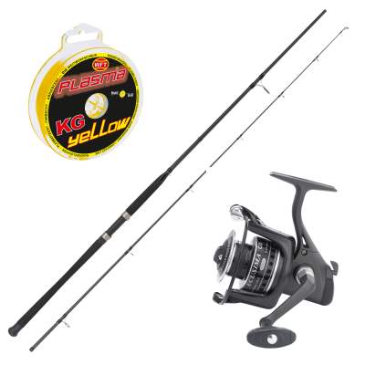 Ryobi Pilk Combo II 2,70m - 40-160g - 2tlg