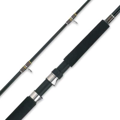 WFT Oceanic Pro Downrigger 2,4m - 10-20lb - 2tlg - 370g