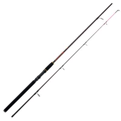 WFT Royal NC Spin, 3m - 30-60g - 2tlg - 295g