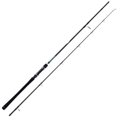 WFT Penzill Tomahawk light Pilk 40-170g 2,40m 2-tlg., 2,4m - 40-170g - 2tlg - 190g