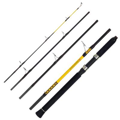 WFT Never Crack Big Fish, 2,4m - 150-700g - 5tlg - 320g