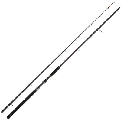 WFT High Carbon NC Catfish 3,20m 200-500g 3,2m - 200-500g - 2tlg - 450g