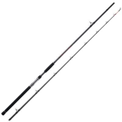 WFT High Carbon NC Catfish LTC 3,20m 200-500g 3,2m - 200-500g - 2tlg - 450g