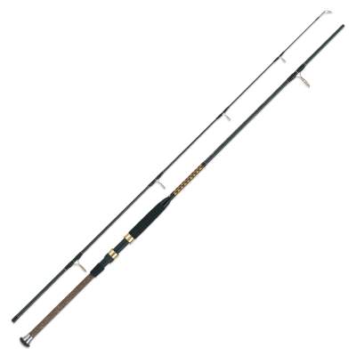 WFT Int.Ocean Fighter 100-400g, 20lbs, 2,40m, 2,4m - 100-400g - 2tlg - 320g