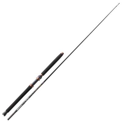 Cormoran Seacor Deep Power Inline 2,35m 200-600g 2,35m - 200-600g - 2tlg - 445g