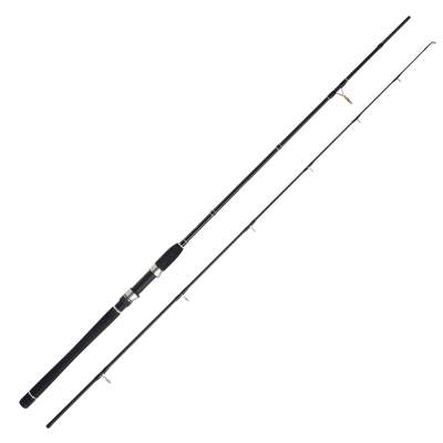 WFT Seadart Pollack Jigger 2-tlg 2,2m - 20-60g - 2tlg - 170g