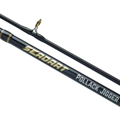 WFT Seadart Pollack Jigger 2-tlg, 2,2m - 20-60g - 2tlg - 170g