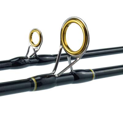 WFT Seadart Pollack Jigger 2-tlg, 2,2m - 20-60g - 2tlg - 170g