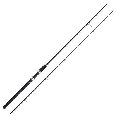 WFT Seadart Seelachs Jigger 2-tlg, 2,2m - 30-110g - 2tlg - 185g