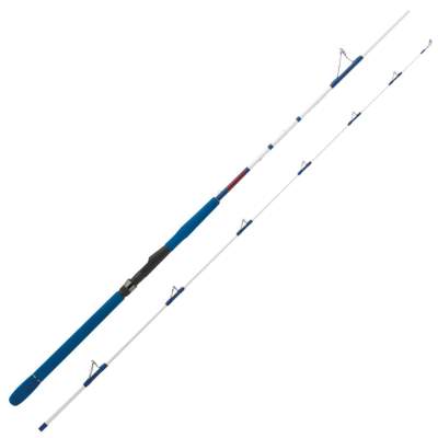 WFT Speed Jigger 35-135g, 2,45m, 2tlg. 2,45m - 35-135g - 2tlg - 260g