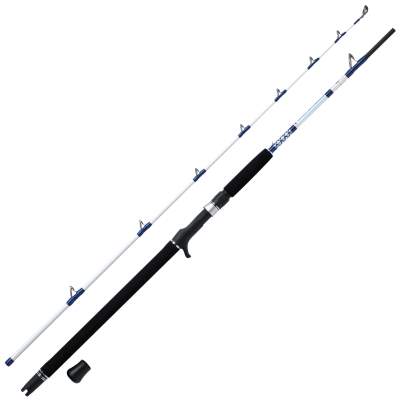 WFT Coastal King 7 25lbs 2,10m 40-240g 2,1m - 40-240g - 2tlg - 345g