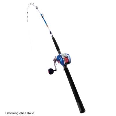 WFT Coastal King 7 25lbs 2,10m 40-240g 2,1m - 40-240g - 2tlg - 345g