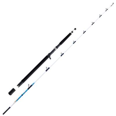 WFT SenSea 25lbs 2,10m 30-300g 2,1m - 30-300g - 2tlg - 390g