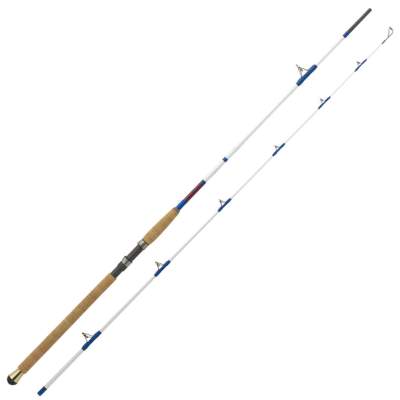 WFT Baltic Pilk, 2,60m, 2tlg. 2,6m - 30-150g - 2tlg - 280g