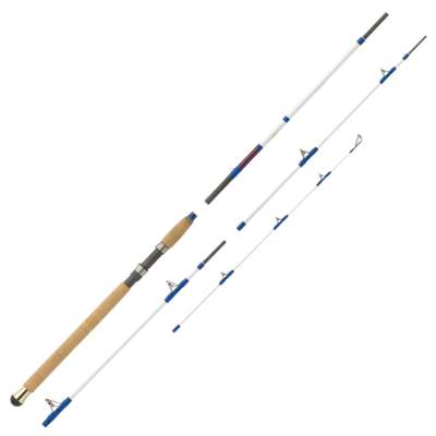 WFT Baltic Pilk, 2,60m, 3tlg., 2,6m - 30-150g - 3tlg - 290g