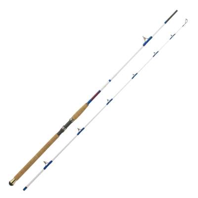 WFT Northman Pilk 100-300g 2,6m - 100-300g - 2tlg - 350g